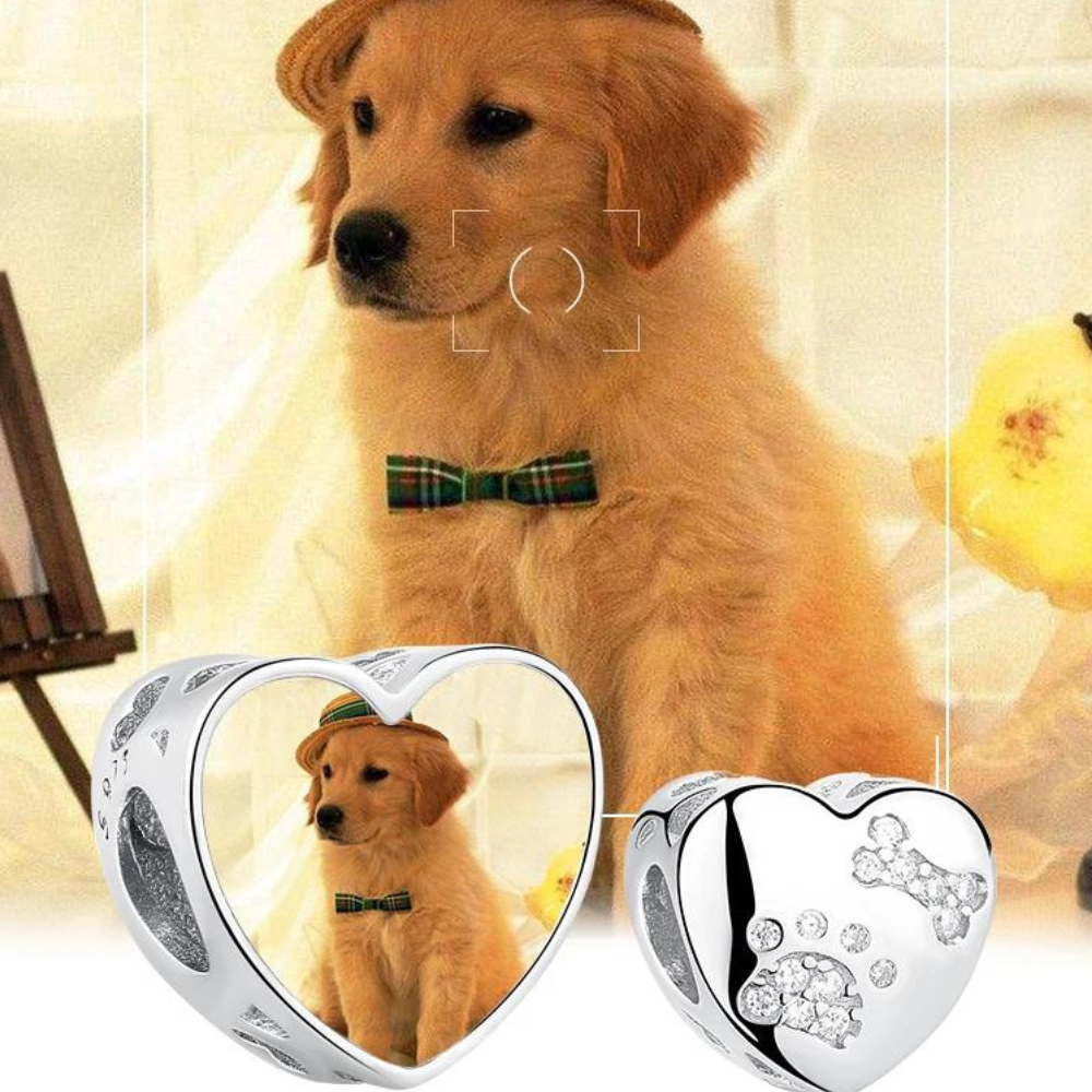 Colgante Personalizado en Forma de Corazón con Pata de Perro Grabada - Sus Secretos